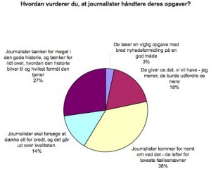 Hvordan vurderer du, at journalister hÃ¥ndterer deres opgaver?